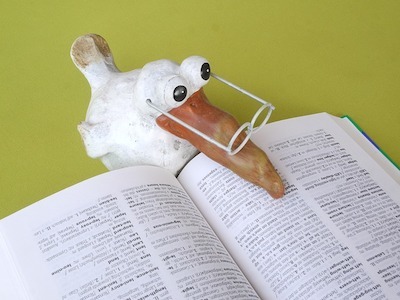辞書とアヒル