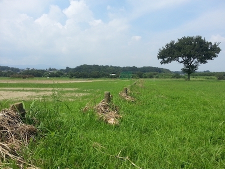 青い空と緑の土地