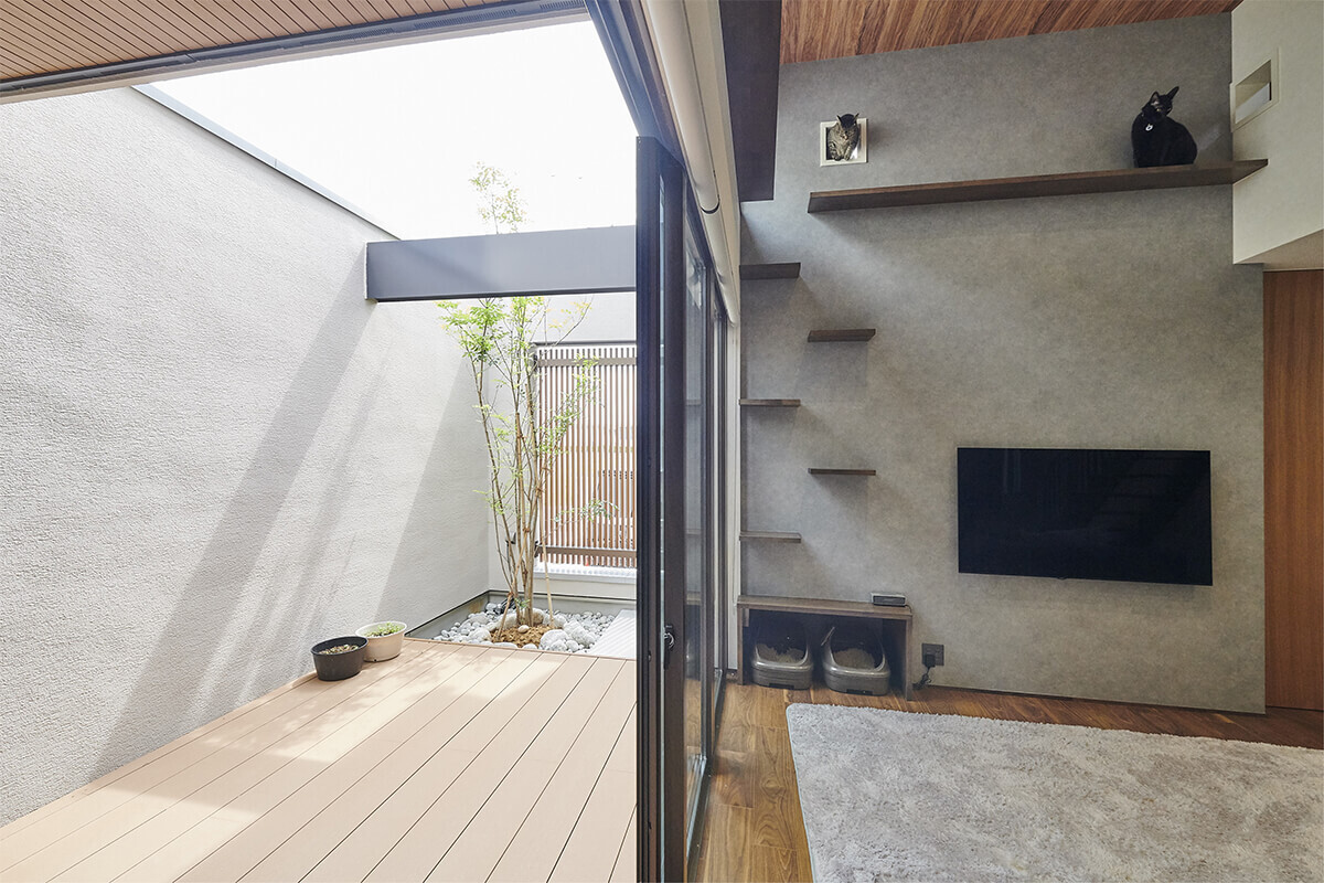 猫と暮らす中庭のある家