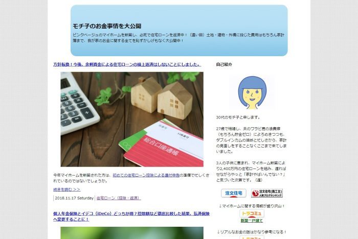モチ子のお金事情を大公開