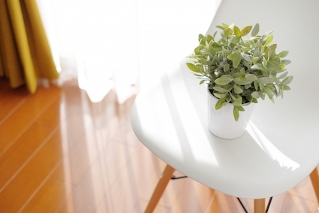 椅子と植物の画像