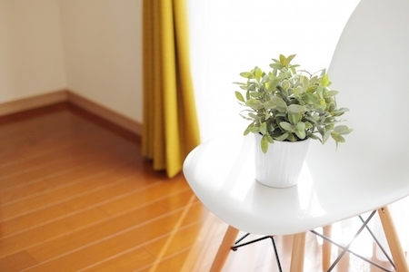 椅子と観葉植物