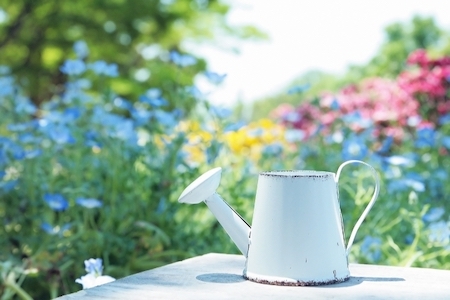 ガーデニングの画像